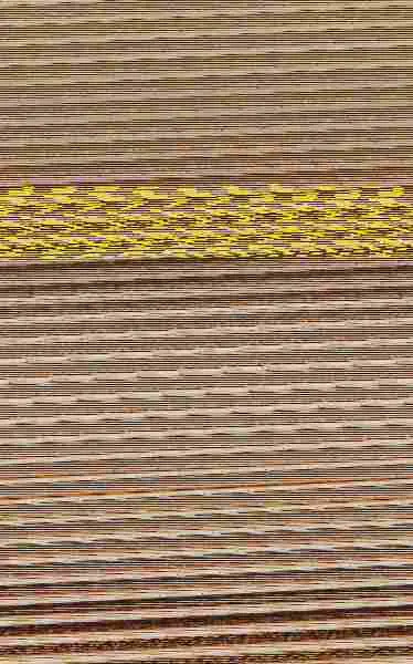 Palabras Envenenadas