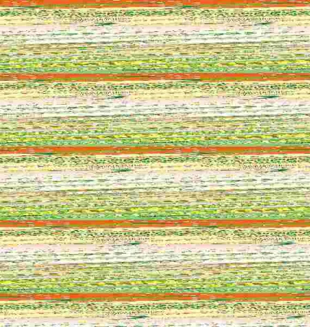 El Dragón Simón y la Gran Competición