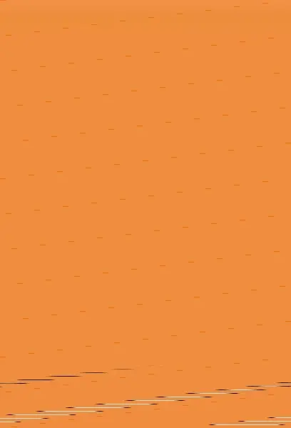 Rollitos de Primavera