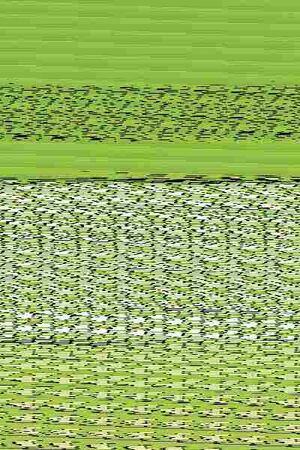 LAS AVENTURAS DE INVISIBLE BOY