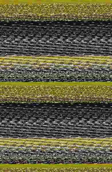 Los Muertos Vivientes Nº14