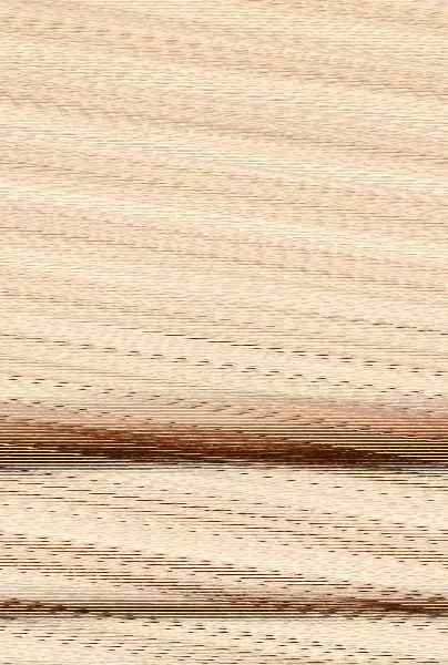 Lodoss War la Bruja Gris Integral