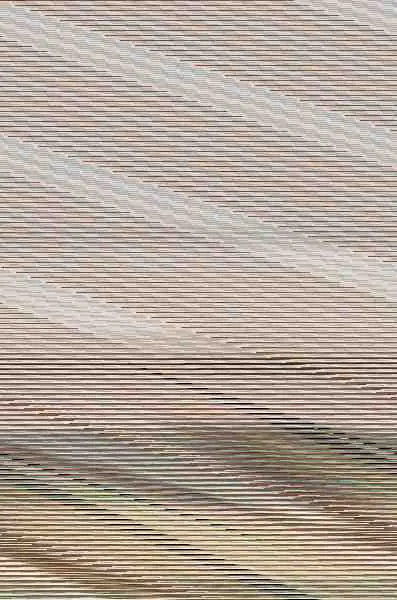 Detective Conan Nº4 (Nueva Edicion)