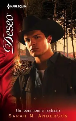 Un Reencuentro Perfecto