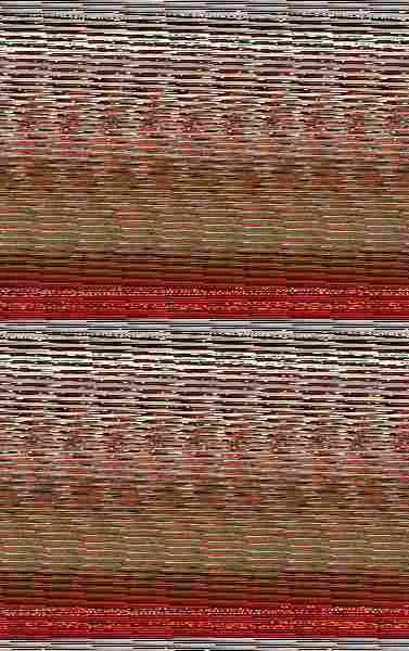 Perdiendo el Corazón