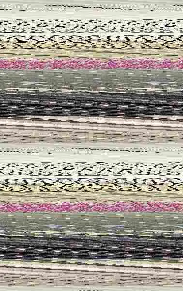 Una Chica de Asfalto