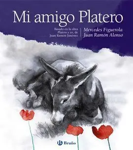 Mi Amigo Platero