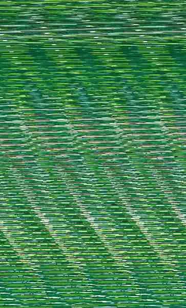 Los Bichos Van Al Cole, 1. Pinceles, Pinturas... ¡Y Travesuras!