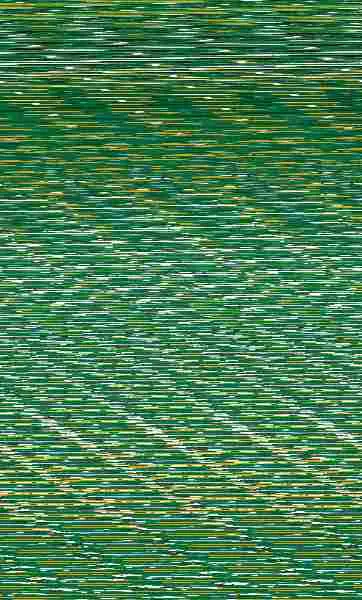 Los Bichos Van Al Cole, 2. ¡Atentos, Concurso de Talentos!