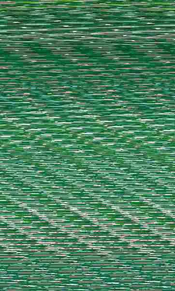 Los Bichos Van Al Cole, 3. ¡Caramba! ¿De Quién Son las Gafas?