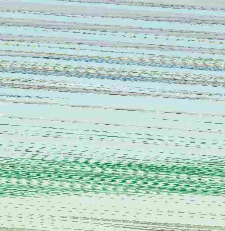 Cuerpo y Mente en Forma