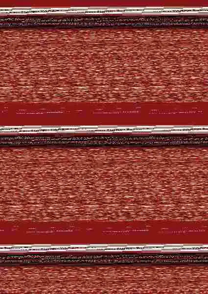 Diálogo Creativo. Hablar para Pensar en el Aula