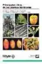 Principales Virus de las Plantas Hortícolas