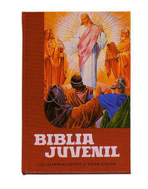 BIBLIA JUVENIL 1 TOMO MOD. 1