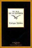 EL ALA DE LA GAVIOTA