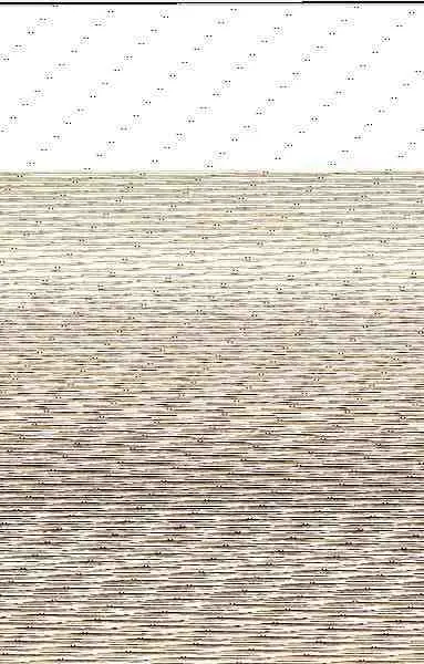 La Verdadera Alegría