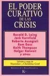 El Poder Curativo de las Crisis