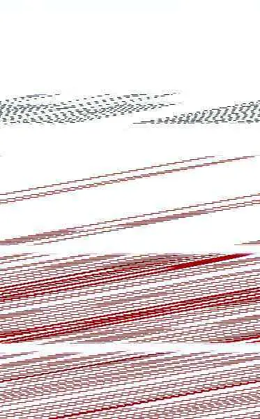 La Bipolaridad Como Don