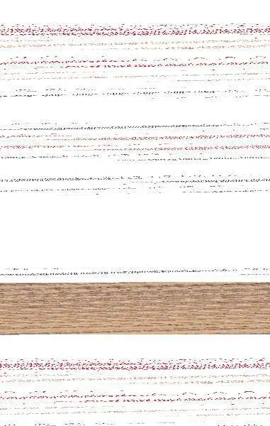 Diario de la Señoria Sofia en el Hospital