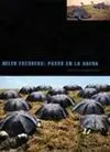 Helen Escobedo. Pasos en la Arena