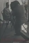 Lázaro Cárdenas