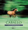 EL GRAN LIBRO DEL CABALLO