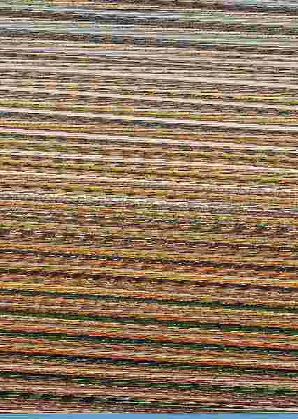 Conservas Naturales de las 4 Estaciones