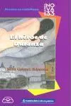 El Héroe de Duranza