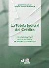 LA TUTELA JUDICIAL DEL CRÉDITO
