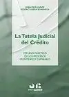La Tutela Judicial del Crédito