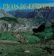 Picos de Europa