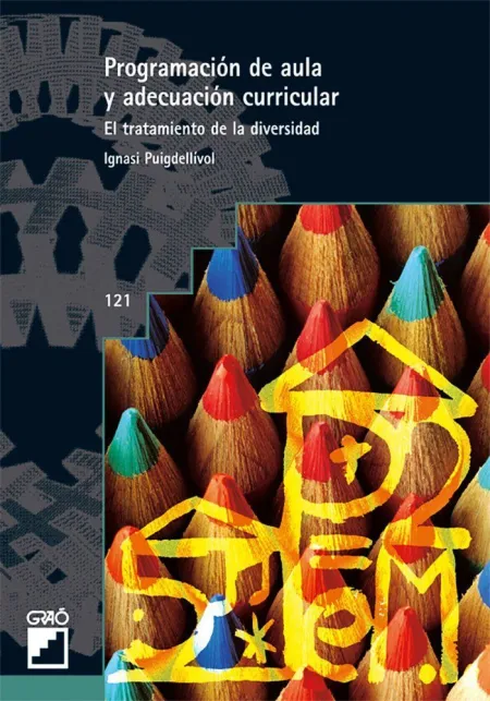 Programación de Aula y Adecuación Curricular