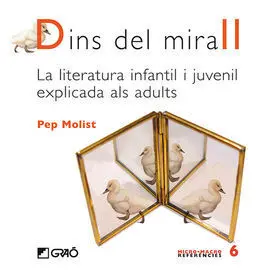 Dins del Mirall