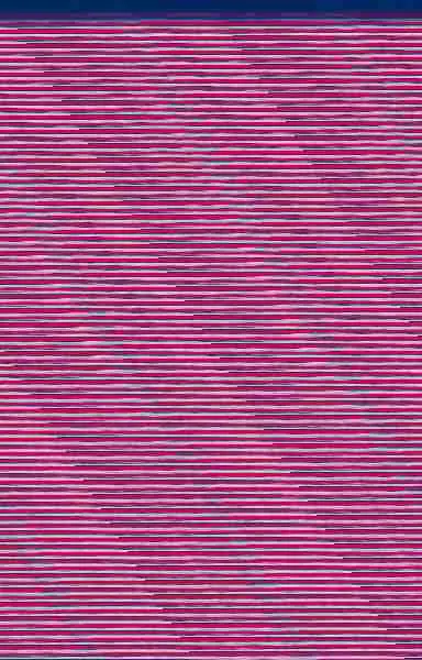 Un Fragmento de Vida