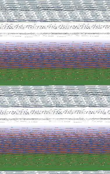 Había una Vez... Una Osita