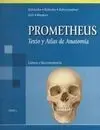 Prometheus Tomo 3 Cabeza y Neuroanatomía