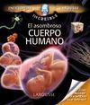 EL CUERPO HUMANO