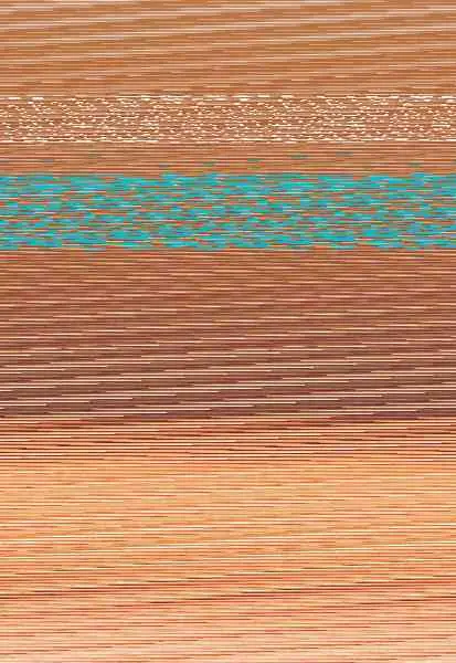 Terapia Manual. Método Dorn (Bicolor)