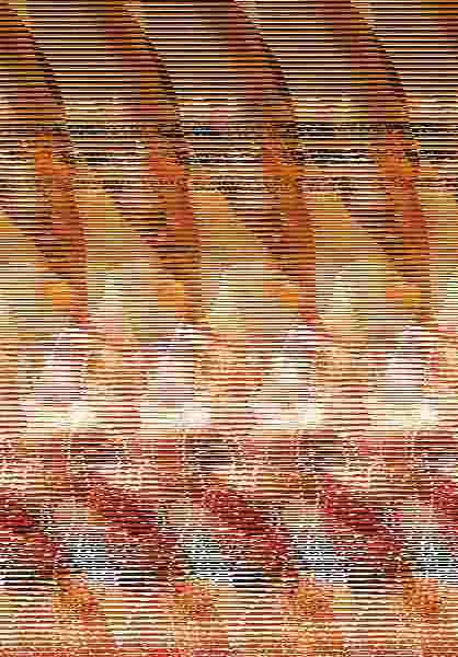 Bruce Lee. Jeet Kune Do