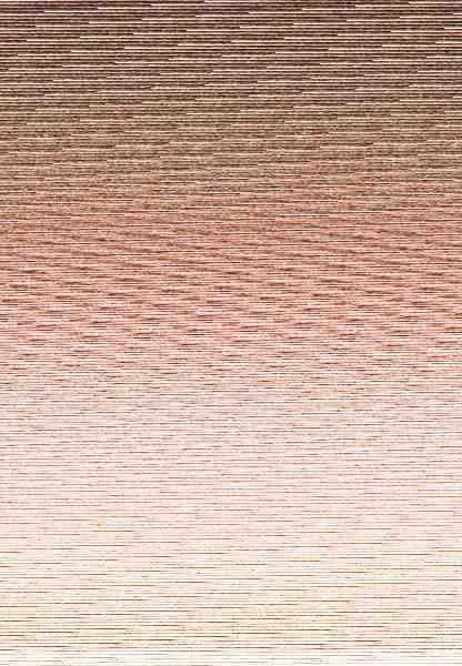 Pies Sanos (Bicolor)