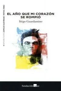 El Año que mi Corazón se Rompió