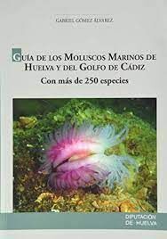 GUIA DE LOS MOLUSCOS MARINOS DE HUELVA Y DEL GOLFO