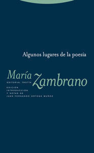 ALGUNOS LUGARES DE LA POESÍA