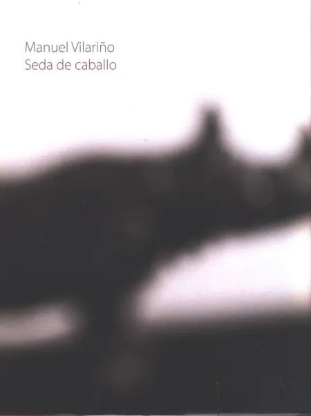 Manuel Vilariño. Seda de Caballo