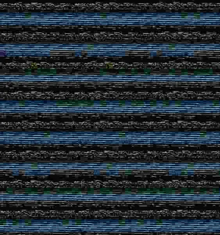 Visiones del Paraíso