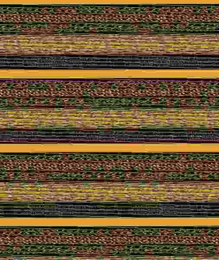 National Geographic 125 Años