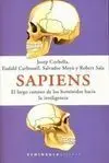 Sapiens: el Largo Camino de los Homínidos Hacia la Inteligencia