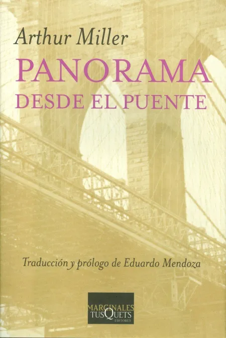 Panorama Desde el Puente