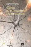 Cómo se Comunican las Neuronas