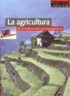 La Agricultura, de lo Tradicional a los Transgénicos